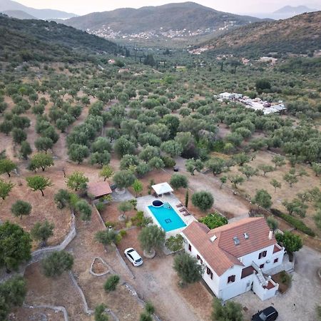 Pandora Villa バティ エクステリア 写真